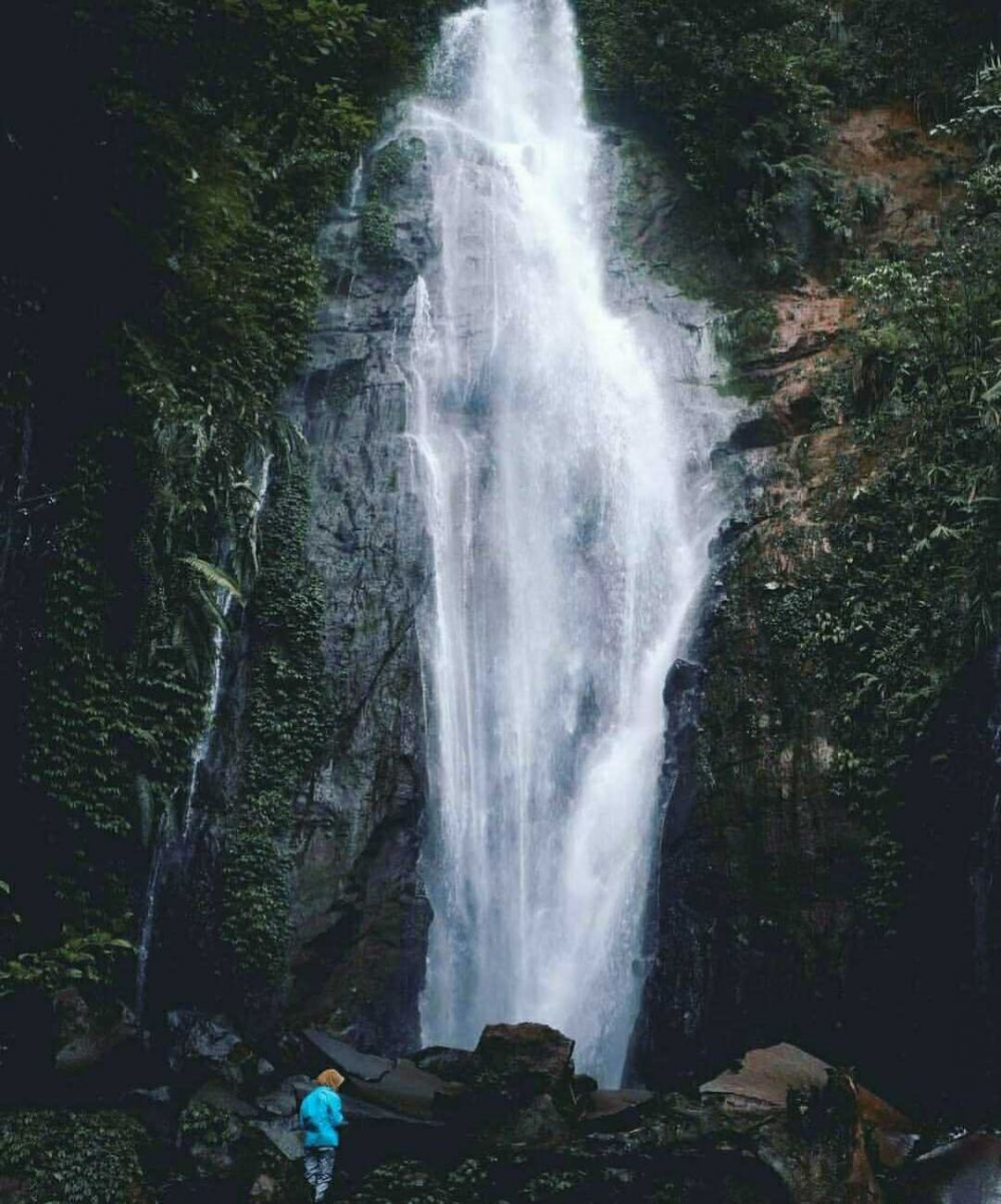 5 Info Seputar Curug Cikaracak Bogor, Air Terjun yang Memacu Adrenalin