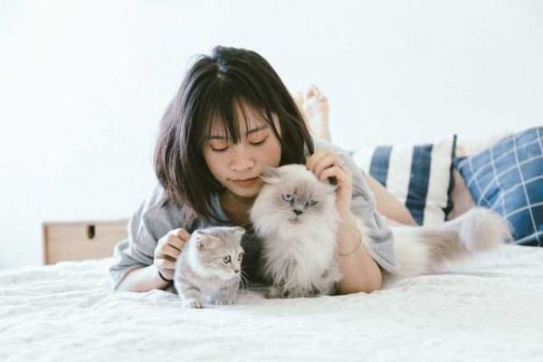 Ailurophile, 5 Zodiak Ini Lengket Banget dengan Kucing Peliharaannya!