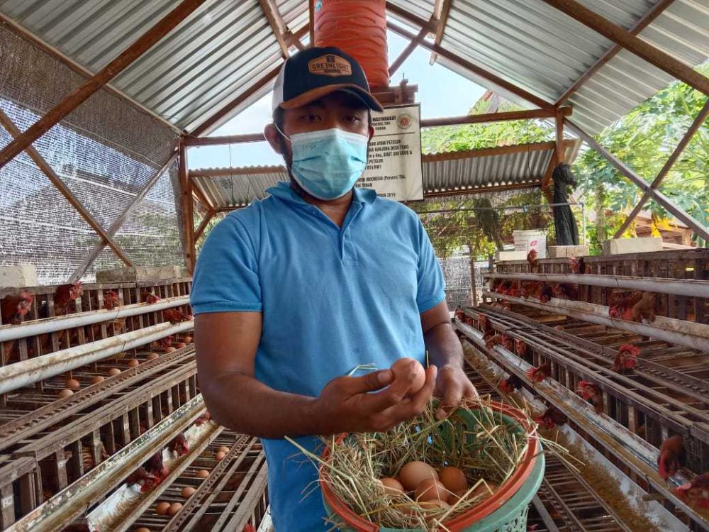 Indonesia Belum Merdeka dari Melambungnya Harga Telur Ayam