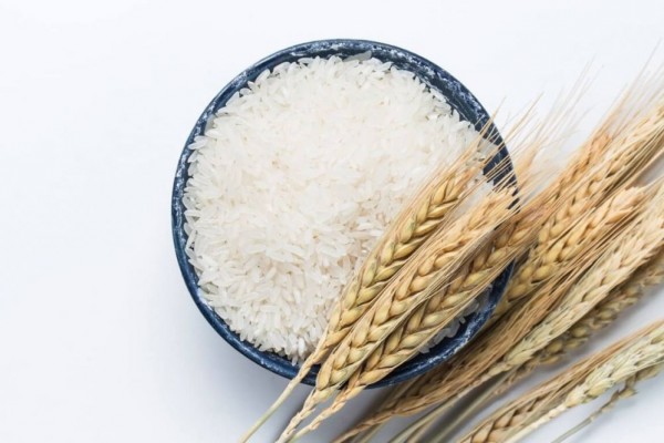 Harga Beras di Tabanan Naik Rp12 Ribu per Kilogram
