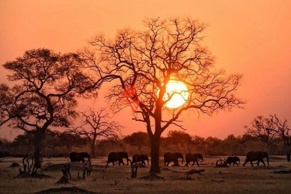 10 Tempat Eksotis di Zimbabwe yang Menarik untuk Dikunjungi