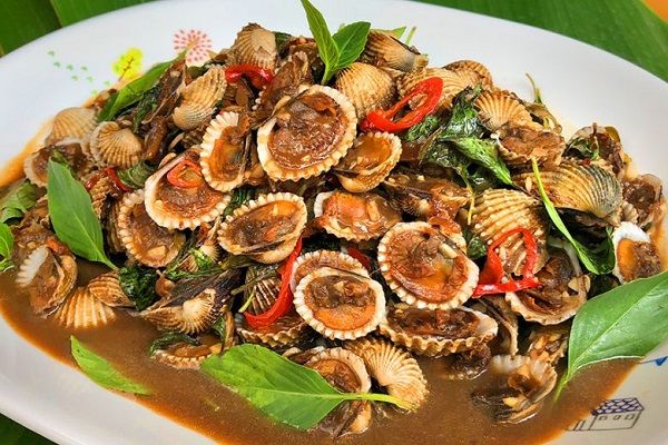 7 Tips Memilih Dan Menyimpan Kerang Dara Agar Masakan Lebih Maksimal