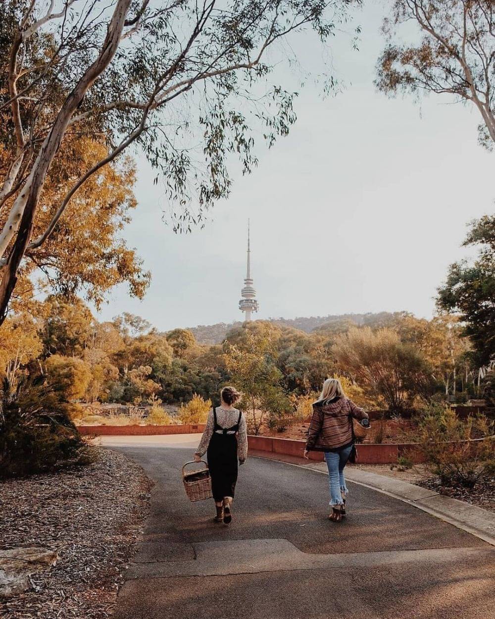 5 Tempat Wisata di Canberra Australia Paling Memesona, Kapan ke Sini?