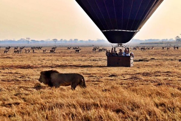 Menarik Banget, 10 Tempat Wisata di Zambia Ini Wajib Masuk Bucket List