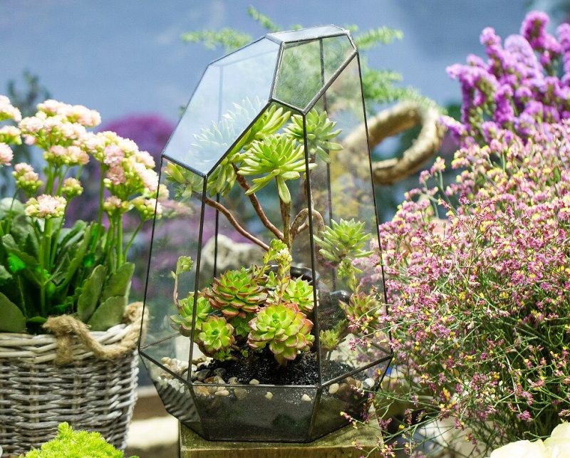 5 Dekorasi Vas Bunga dari Kaca yang Minimalis dan Hemat Tempat