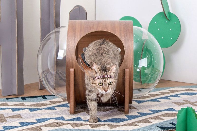 5 Ide Rumah  Kucing  Minimalis  yang Unik dan Hemat Ruang