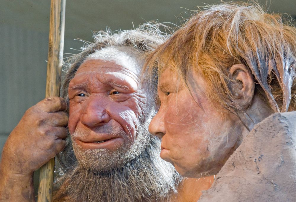 Fakta Mengejutkan Tentang Neanderthal Wajib Tahu
