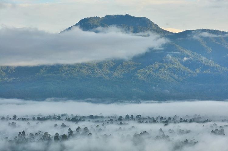 5 Destinasi Wisata Alam Unik di Lampung Barat, Sensasi Hawa Sejuk