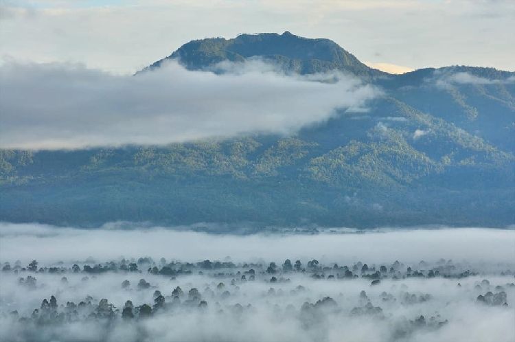 5 Gunung Terbaik di Lampung yang Harus Kamu Taklukkan