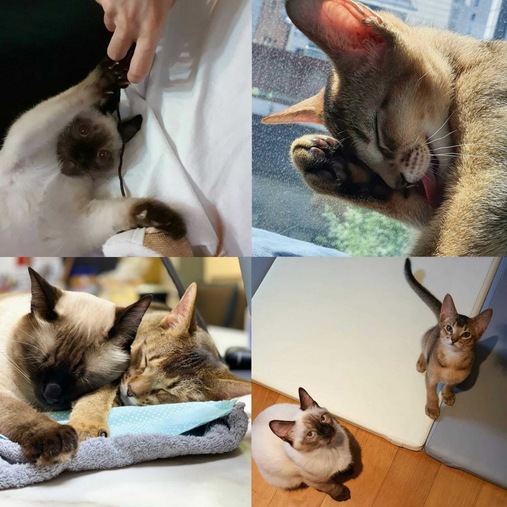 Fakta Menarik Ten NCT yang Punya Bakat Seni Mumpuni