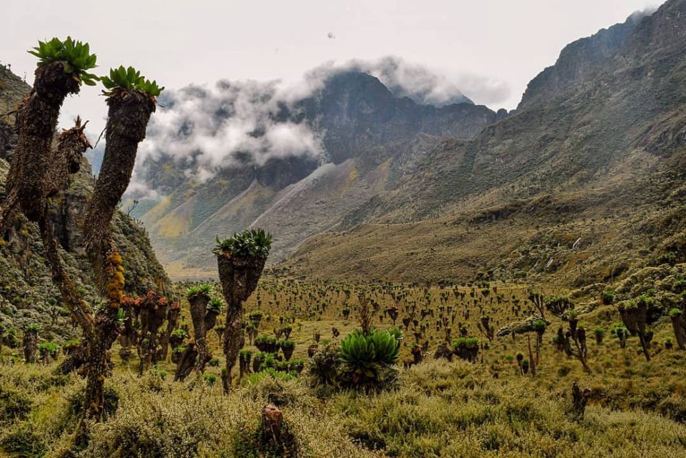 10 Destinasi Wisata Menawan di Uganda yang Bikin Pengin Liburan