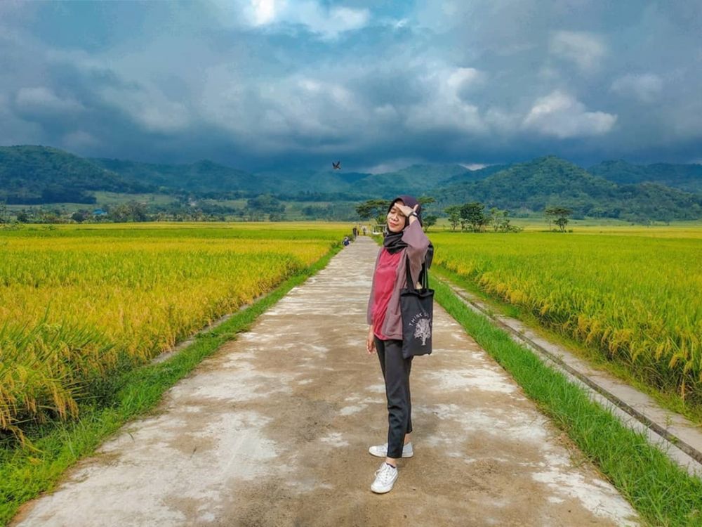 5 Potret Geblek Menoreh View, Angkringan Tepi Sawah yang Lagi Viral!