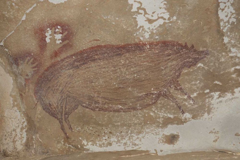 Tertua di Dunia, Lukisan Babi Ditemukan di Indonesia