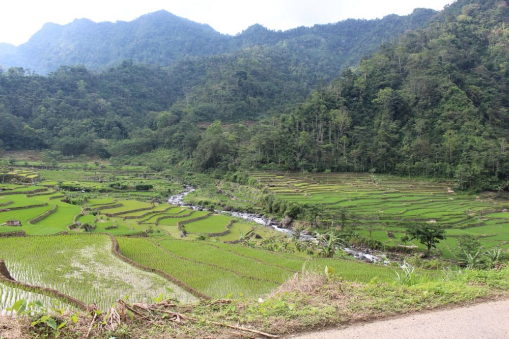 5 Keseruan yang Bisa Dinikmati di Desa Wisata Tempur Jepara