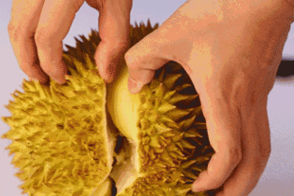Punya Bau yang Sangat Khas, Ini 5 Manfaat Durian bagi Kesehatan 