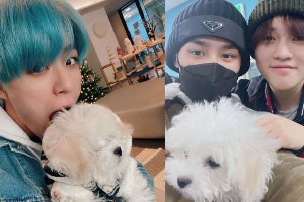 Potret Member NCT dengan Daegal Si Anak Anjing Milik Chenle