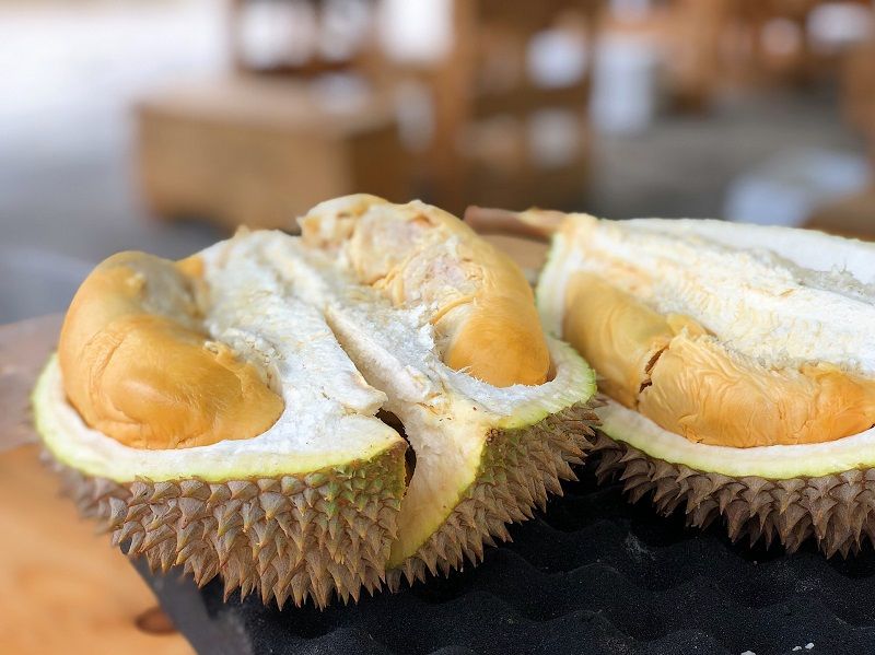 Beberapa Manfaat Durian bagi Kesehatan 
