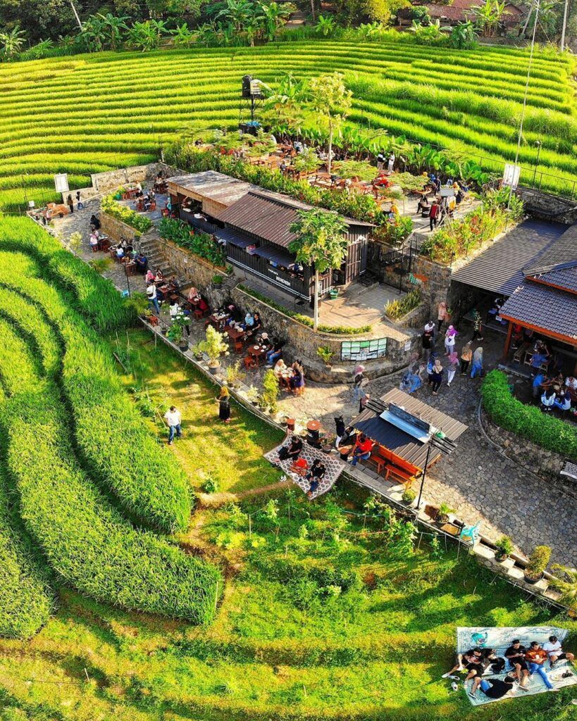 7 Tempat Makan di Yogyakarta Sambil Nikmati Panorama Sawah 