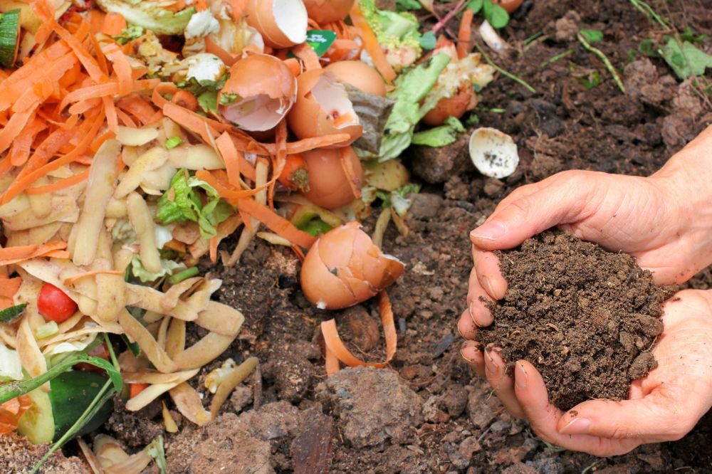 Cara Membuat Pupuk Kompos Alami dari Sampah Dapur Organik