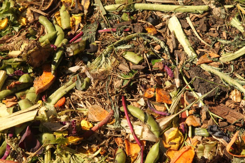 Cara Membuat Pupuk Kompos Alami dari Sampah Dapur Organik