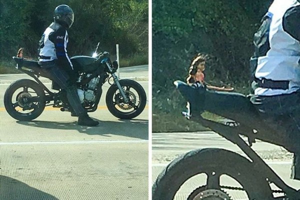 Perhatikan Baik-baik, 10 Foto Biasa Ini Jadi Kocak Ketika Di-zoom