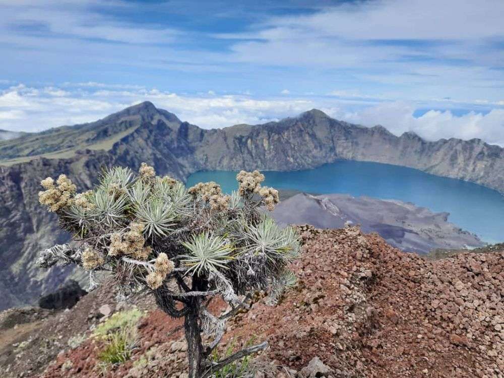 Info Pendakian Gunung Rinjani Via Sembalun - BeritaGesit