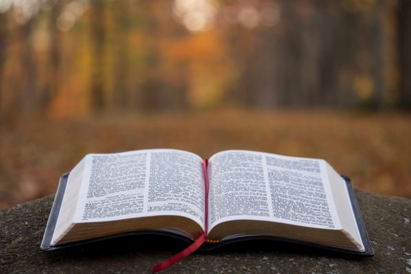 15 Ayat Alkitab untuk Sumber Motivasi Setiap Saat
