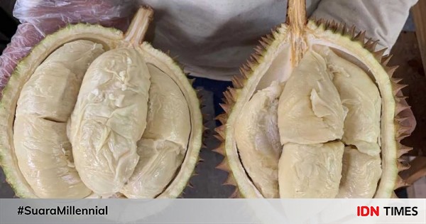 6 rekomendasi tempat makan durian di jakarta, gak bikin kecewa!