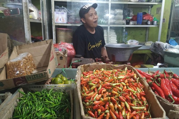 Harga Cabai di Malang Tembus Rp90 Ribu per Kg