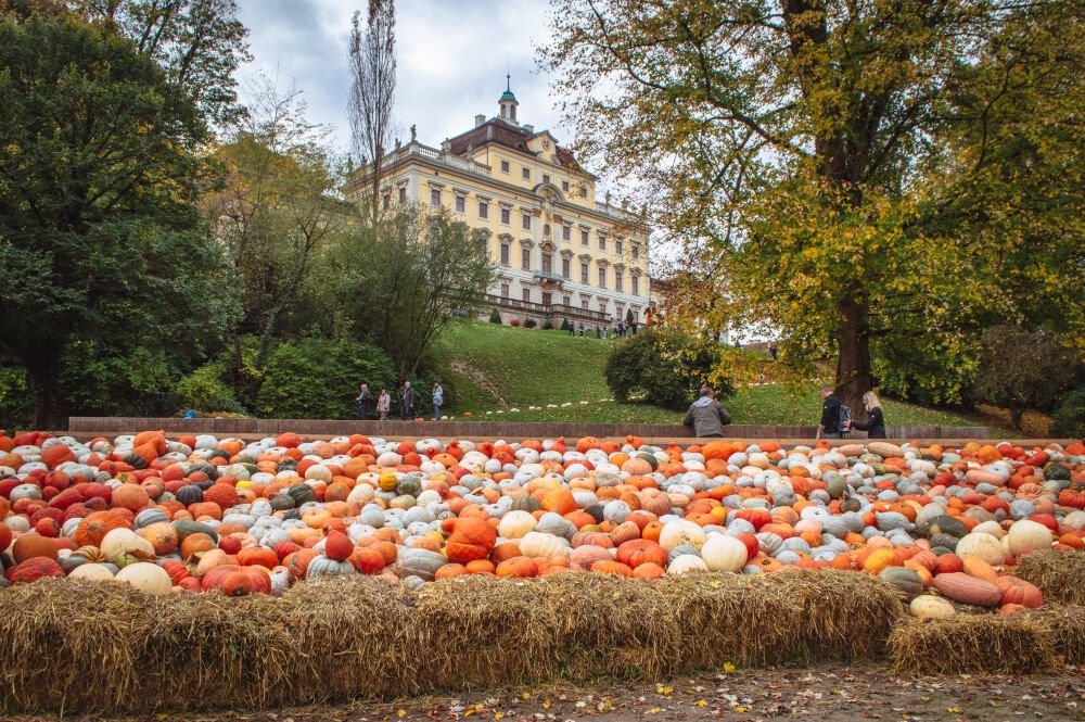 Terbesar di Dunia, 6 Alasan Ludwigsburg Pumpkin Festival Selalu Ramai