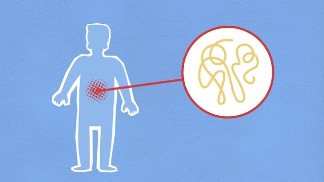 Inilah 5 Perlindungan yang Diberikan Kacang Kenari bagi Tubuh Kita