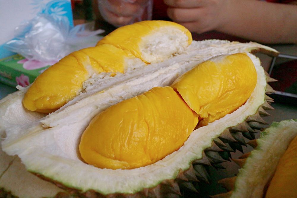 6 Daerah di Jateng Mulai Panen Durian Lokal, Rasa Lebih Legit!