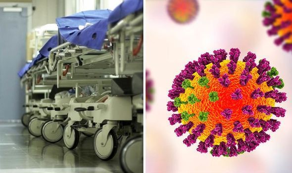 Menkes Sebut Indonesia Rawan Terserang Flu Burung Clade Baru 2.3.4.4b