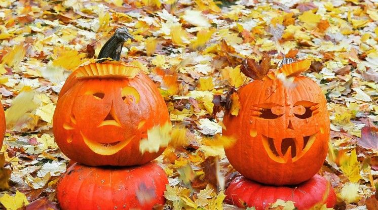 Terbesar di Dunia, 6 Alasan Ludwigsburg Pumpkin Festival Selalu Ramai