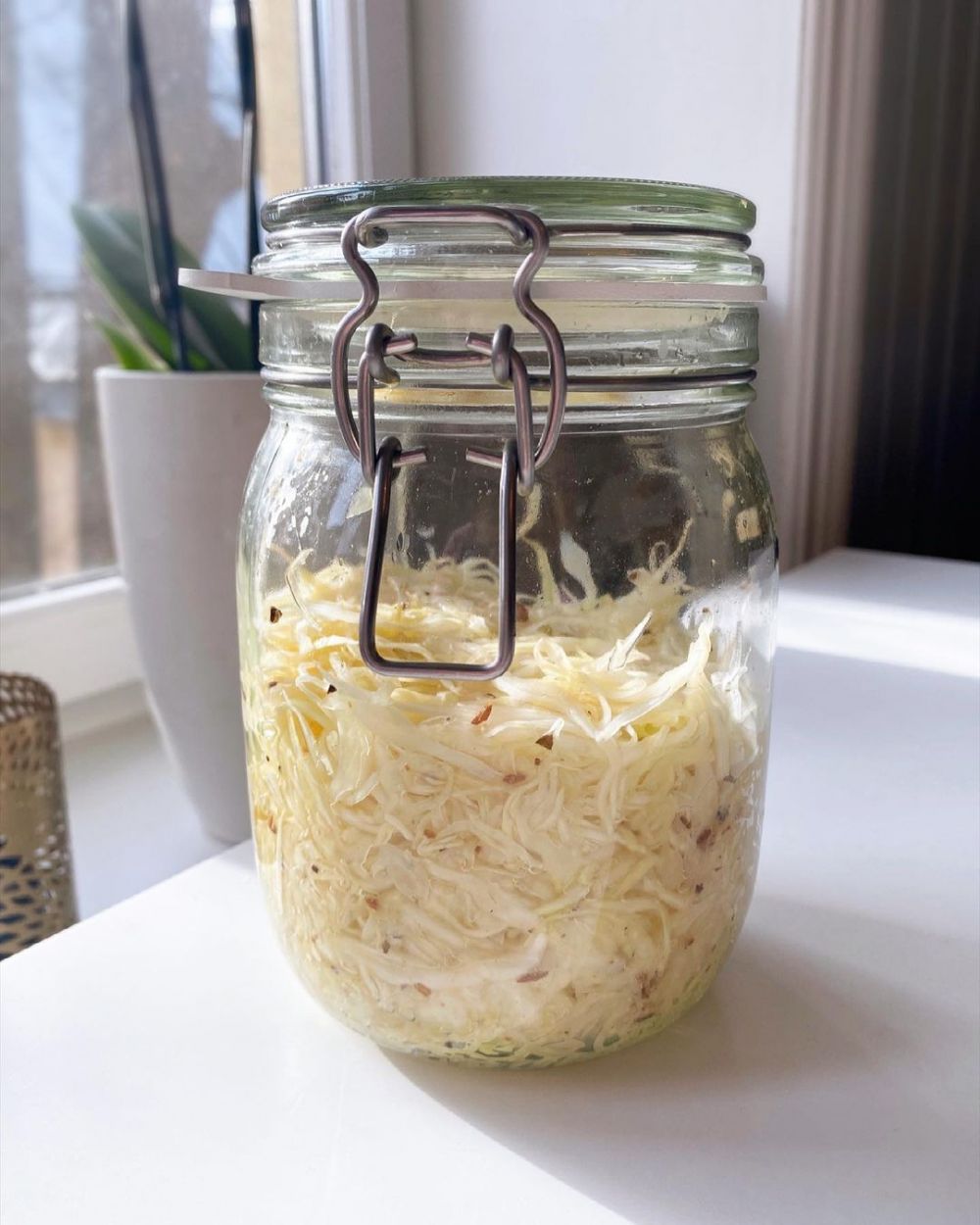 5 Fakta Sauerkraut Kubis Fermentasi Jerman Yang Sehat