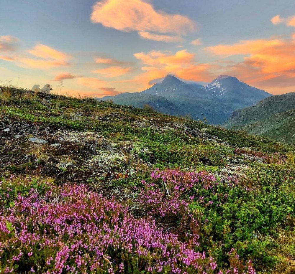 5 Taman Nasional di Norwegia yang Siap Membiusmu dengan Keindahannya