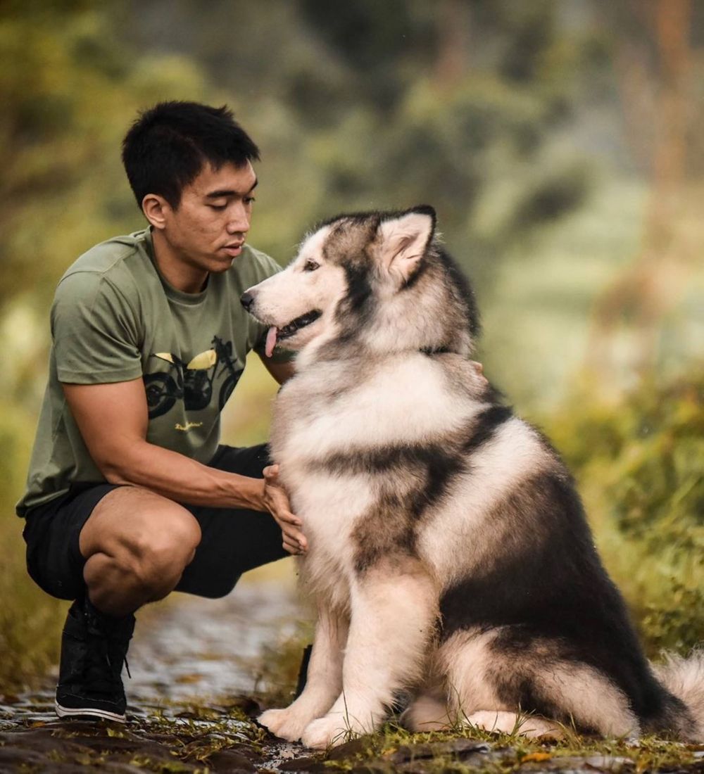 Meninggal, 10 Momen Manis Spike Si Anjing Artis dengan Ezron