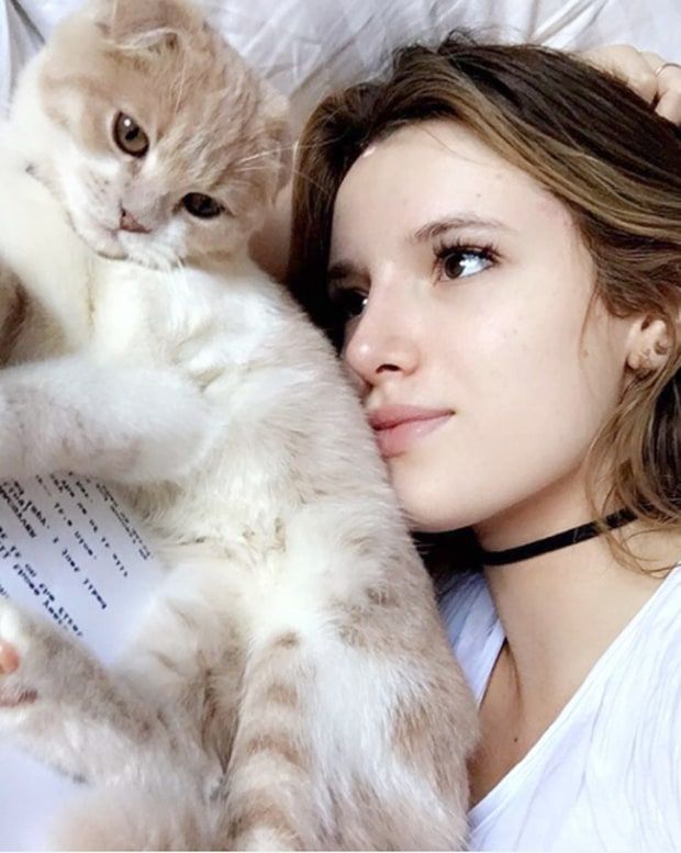 10 Potret Seleb Hollywood dengan Kucing Peliharaan, Gemas!