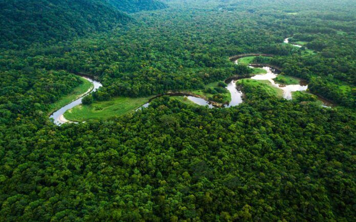 Belajar dari Marwi yang Merintis Hutan Jadi Ekowisata