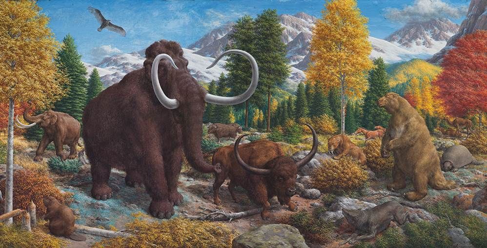 Rarely known, these are 7 surprising facts about the ice age