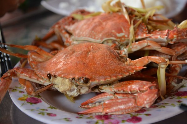 5 Jenis Kepiting yang Paling Lezat, Kamu Pernah Coba?