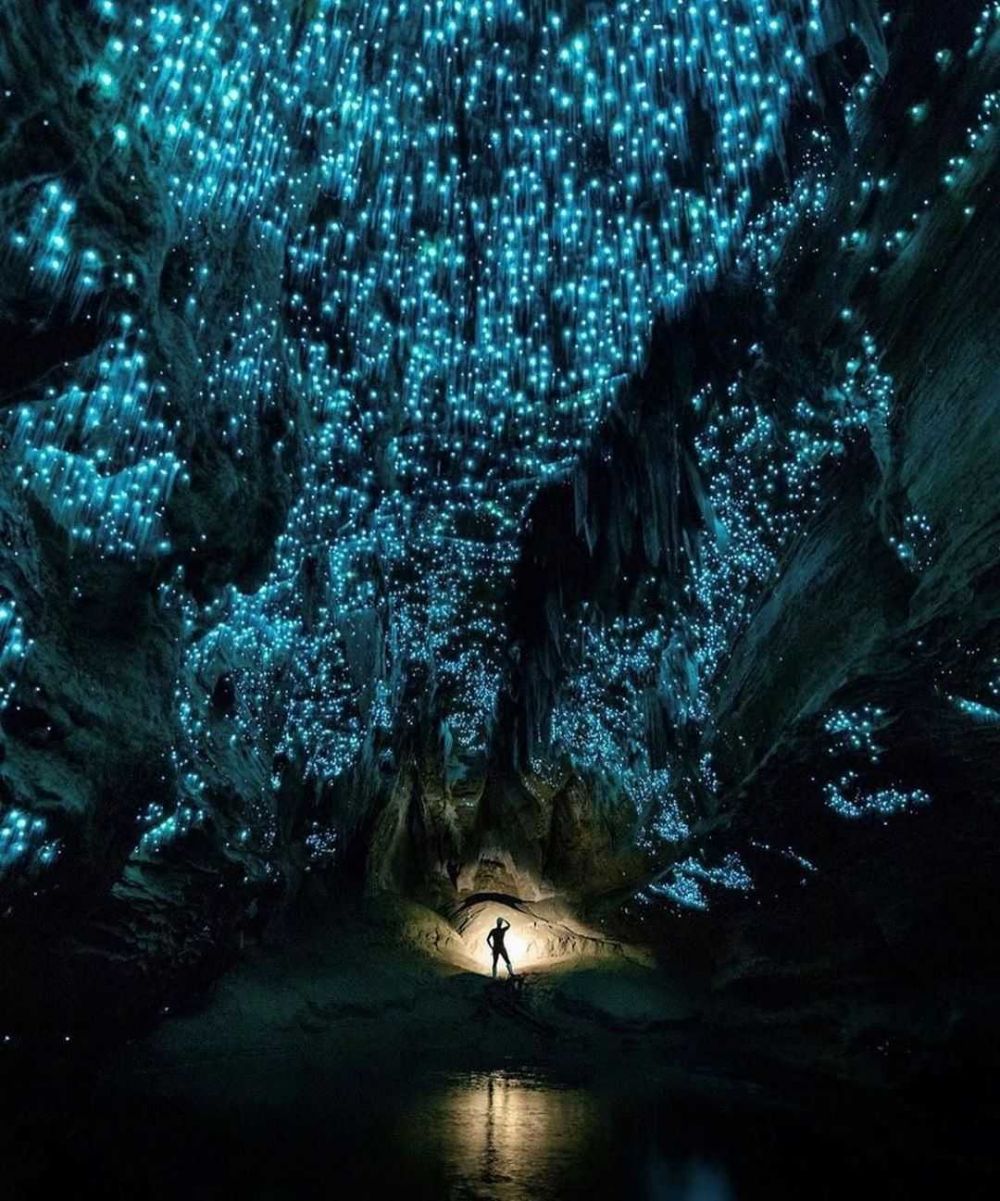 Пещеры светлячков Вайтомо, новая Зеландия