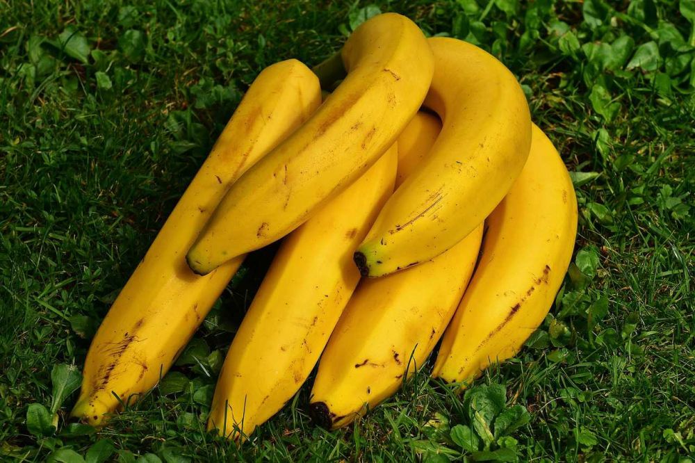 Resep Kue Talam Pisang Nikmat yang Cocok Dijadikan Teman Minum Teh