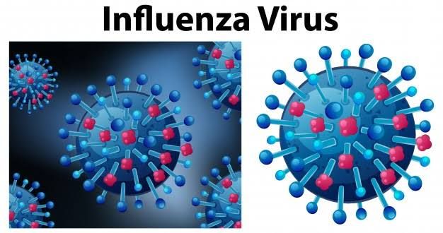ISPA Anak di Tabanan Didominasi Infeksi Virus Influenza