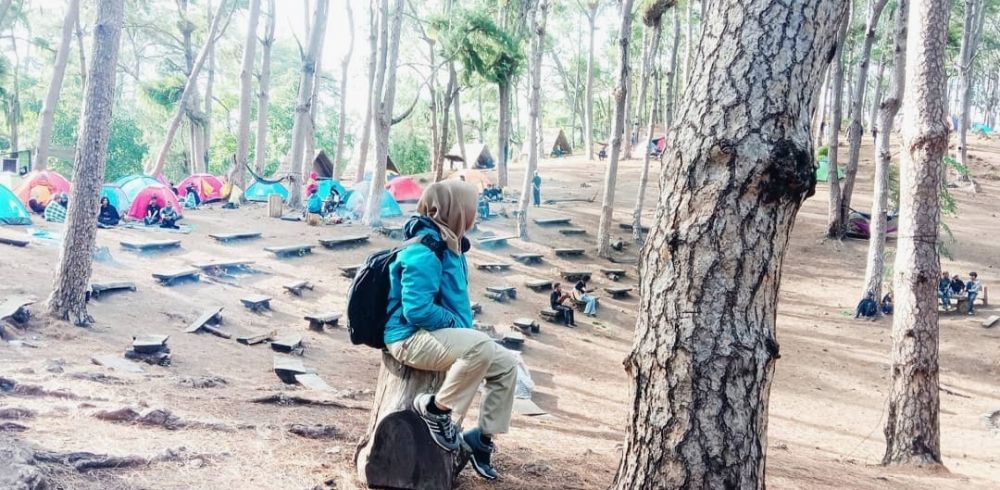 5 Godaan Wisata Pinus Rombeng di Bantaeng, Bikin Auto Camping!