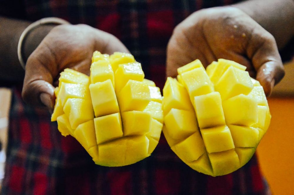 Resep Mango Sorbet, Es Krim Buah Segar cuma Butuh 4 Bahan