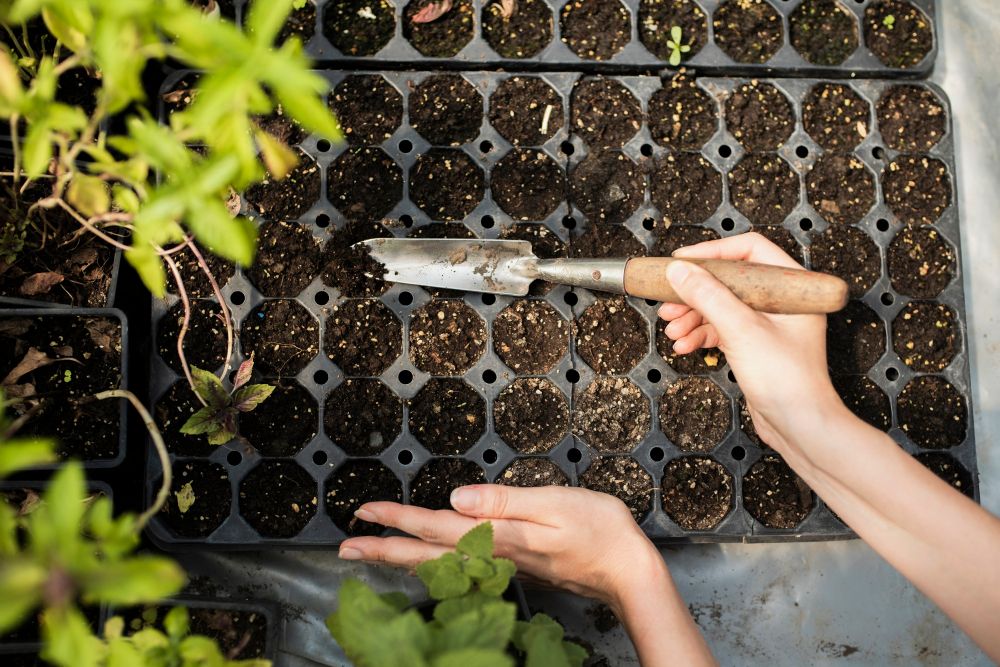 6 Langkah Memanfaatkan Balkon Menjadi Kebun Sayur yang Produktif 