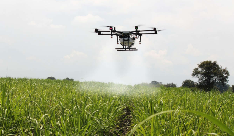 Kembankan Sektor Pertanian, Jepang-Telkom Kerja Sama Digitalisasi Agrikultur