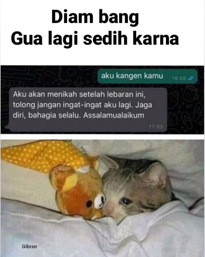 Kocak! 10 Chat Cinta Ditolak Ini Nyelekit, Auto Kena Mental, deh!