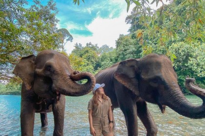Wisata Tangkahan Lokasi, Biaya, Tips 
